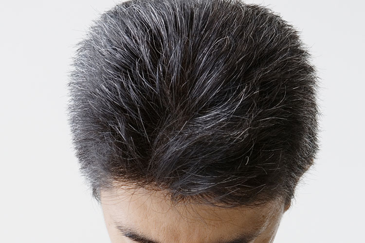 のイメージ画像